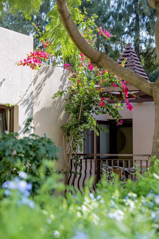 Family Room Garden View